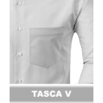 TASCA V